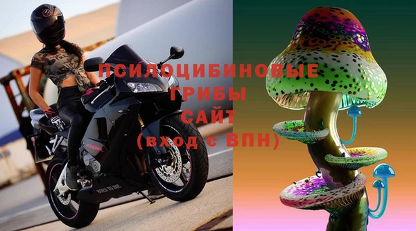 стафф Алексеевка