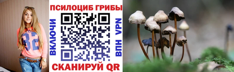 OMG ссылки  Азов  Галлюциногенные грибы мухоморы 